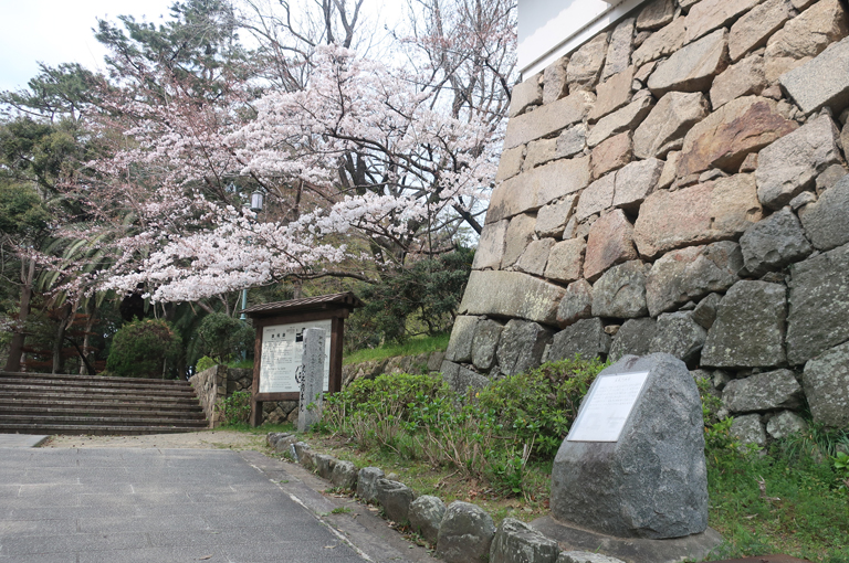 津城桜